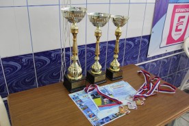 Свыше 200 пловцов собрались на областном турнире по плаванию в честь Юлии Ефимовой